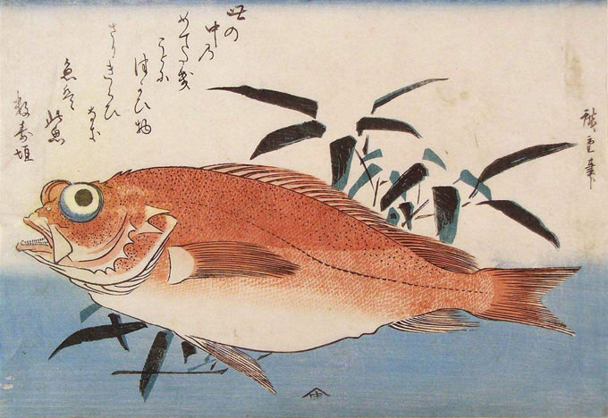 fishboard_000.jpg (89803 bytes)