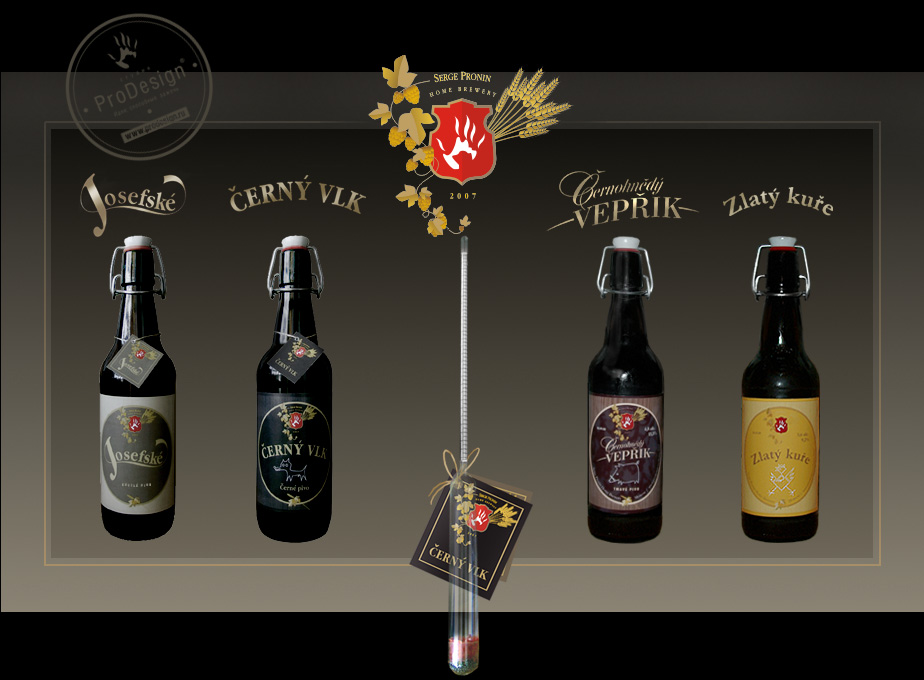 Serge Pronin Home Brewery