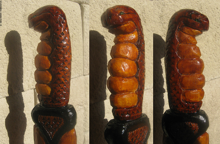 knife_snake3.jpg (286235 bytes)