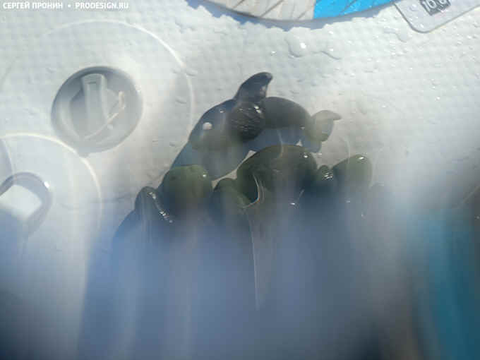 gagra2.jpg (19012 bytes)