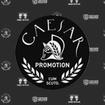 лого, дизайн ринга, афиша а2, приглашение, баннеры для компании Caesar Promorion