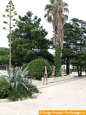 bud11.jpg (75688 bytes)