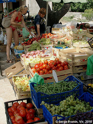 cr_01_10.jpg (61584 bytes)
