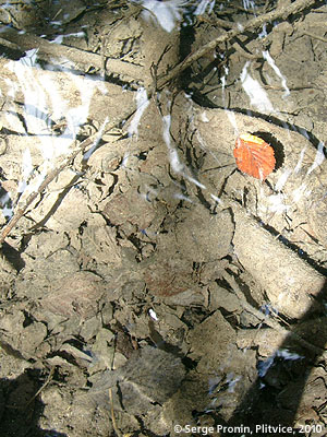 cr_02_13.jpg (65785 bytes)