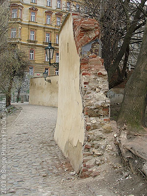 2003_42.jpg (57717 bytes)