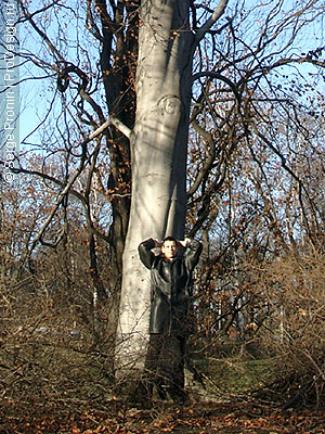 prag3_06.jpg (105920 bytes)