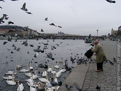 prag5_11c.jpg (39532 bytes)